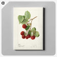 1-33_USDA-Watercolor-Fruit-Painting-Collection_canvas