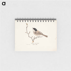 アートメモ帳-Marsh tit - ヴィルヘルム フォン ライト Memo.