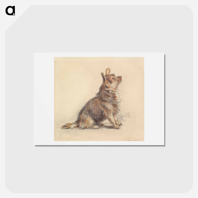 アートポストカード-A Terrier Sitting, Looking Up to Right - ウィリアム ヘンリー ハント Postcard.