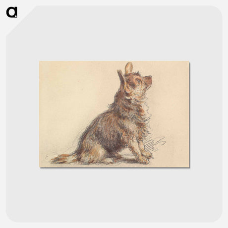 アートポストカード-A Terrier Sitting, Looking Up to Right - ウィリアム ヘンリー ハント Postcard.