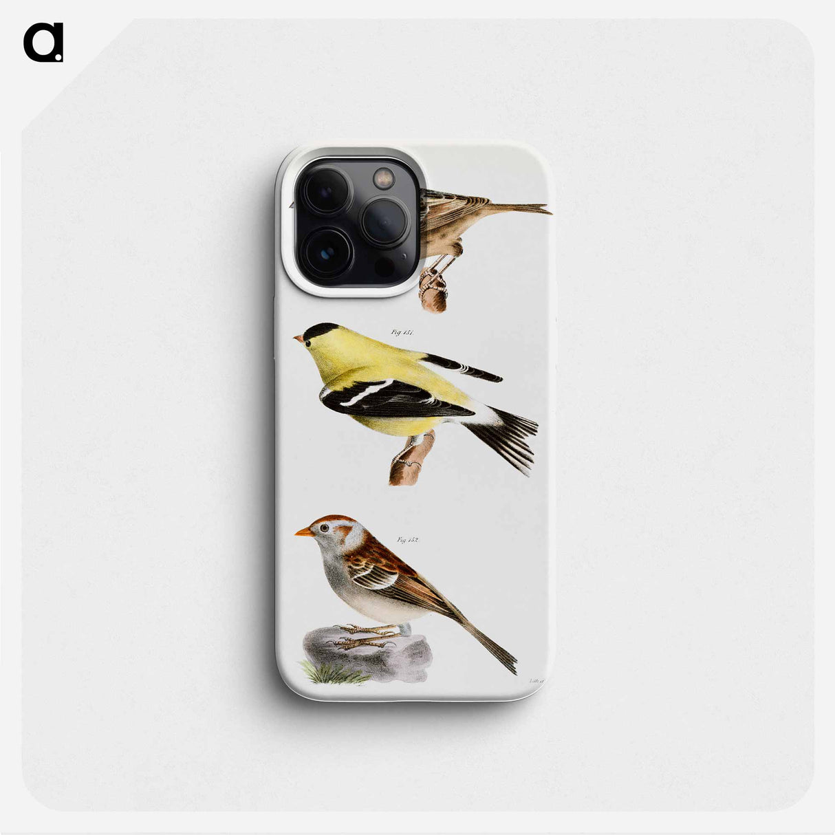 Yellow-winged Bunting (Emberiza passerina) 151. Yellowbird (Carduelis tristis) 152. Field Bunting (Emberiza pusilla) illustration from Zoology of New York by - ニューヨークの動物学 Phone Case.