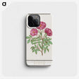 1-34_Anselmus-Boetius-de-Boodt_phone