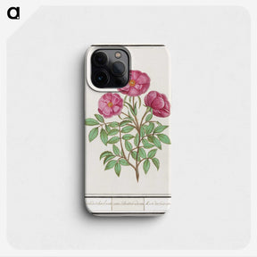1-34_Anselmus-Boetius-de-Boodt_phone