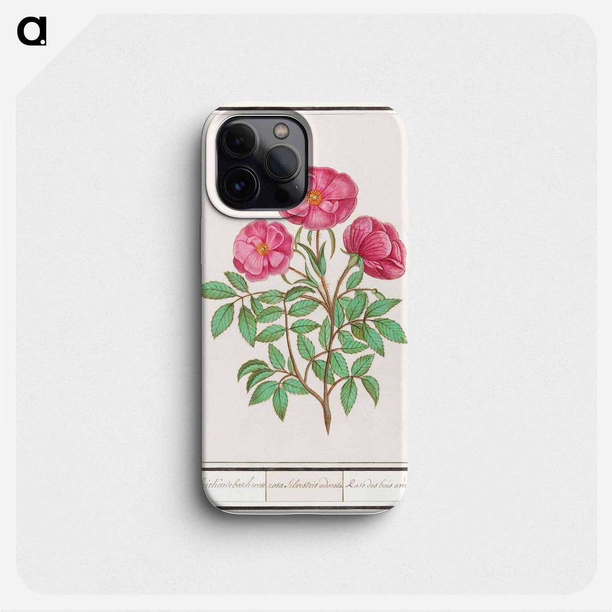 Wild rose - アンセルムス ボエティウス デ ブート Phone Case.