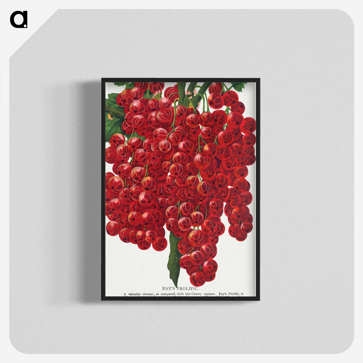 1-34_Botanical-Specimen-Plates_blk-crop