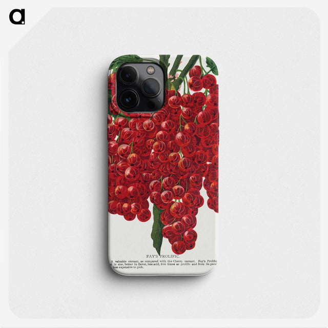 1-34_Botanical-Specimen-Plates_phone