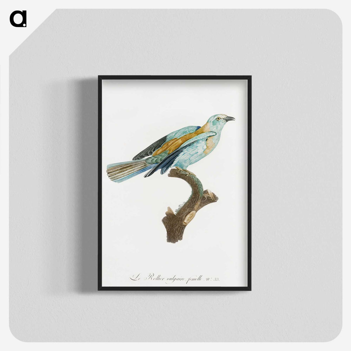 1-34_Des-Oiseaux-de-Paradis_blk-crop