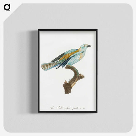 1-34_Des-Oiseaux-de-Paradis_blk-crop