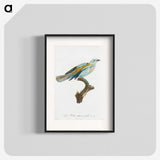 1-34_Des-Oiseaux-de-Paradis_blk
