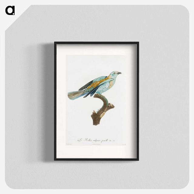 1-34_Des-Oiseaux-de-Paradis_blk