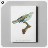 1-34_Des-Oiseaux-de-Paradis_canvas