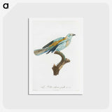 1-34_Des-Oiseaux-de-Paradis_hagaki