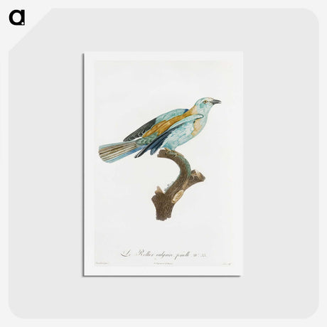 1-34_Des-Oiseaux-de-Paradis_hagaki