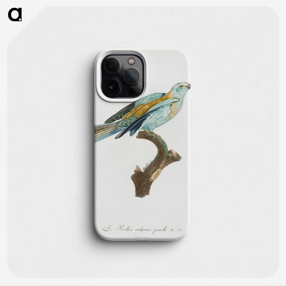1-34_Des-Oiseaux-de-Paradis_phone