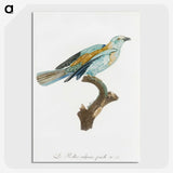1-34_Des-Oiseaux-de-Paradis_picture-crop