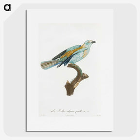 1-34_Des-Oiseaux-de-Paradis_picture