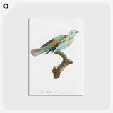 1-34_Des-Oiseaux-de-Paradis_postcard
