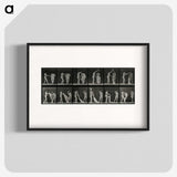 1-34_Eadweard-Muybridge_blk