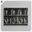 1-34_Eadweard-Muybridge_canvas