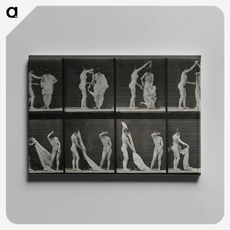 1-34_Eadweard-Muybridge_canvas