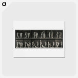 アートポストカード-Undressing
 - エドワード マイブリッジ Postcard.