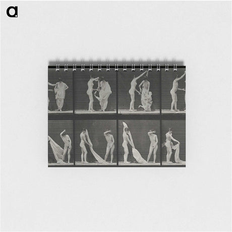 1-34_Eadweard-Muybridge_memo