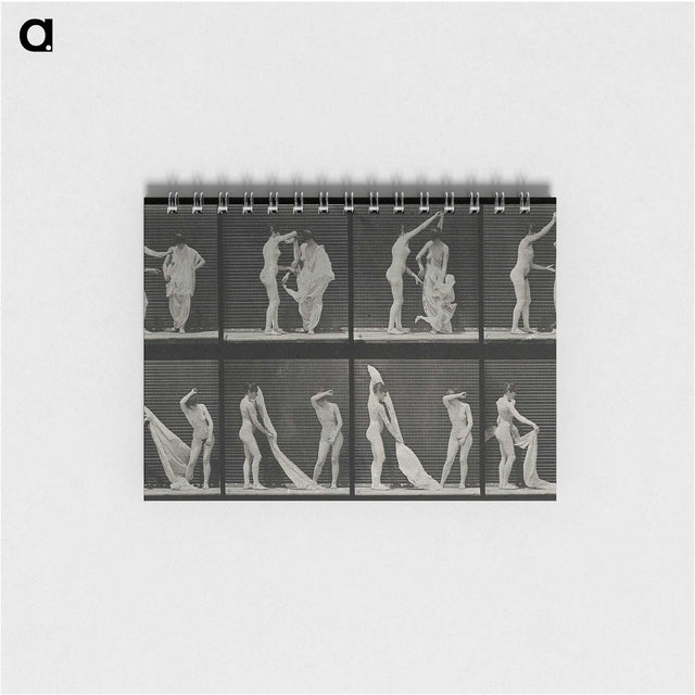 1-34_Eadweard-Muybridge_memo