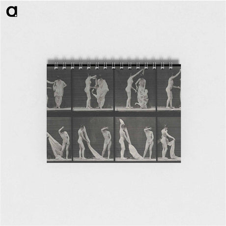 アートメモ帳-Undressing
 - エドワード マイブリッジ Memo.