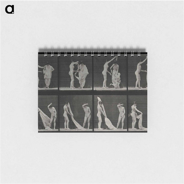 アートメモ帳-Undressing
 - エドワード マイブリッジ Memo.