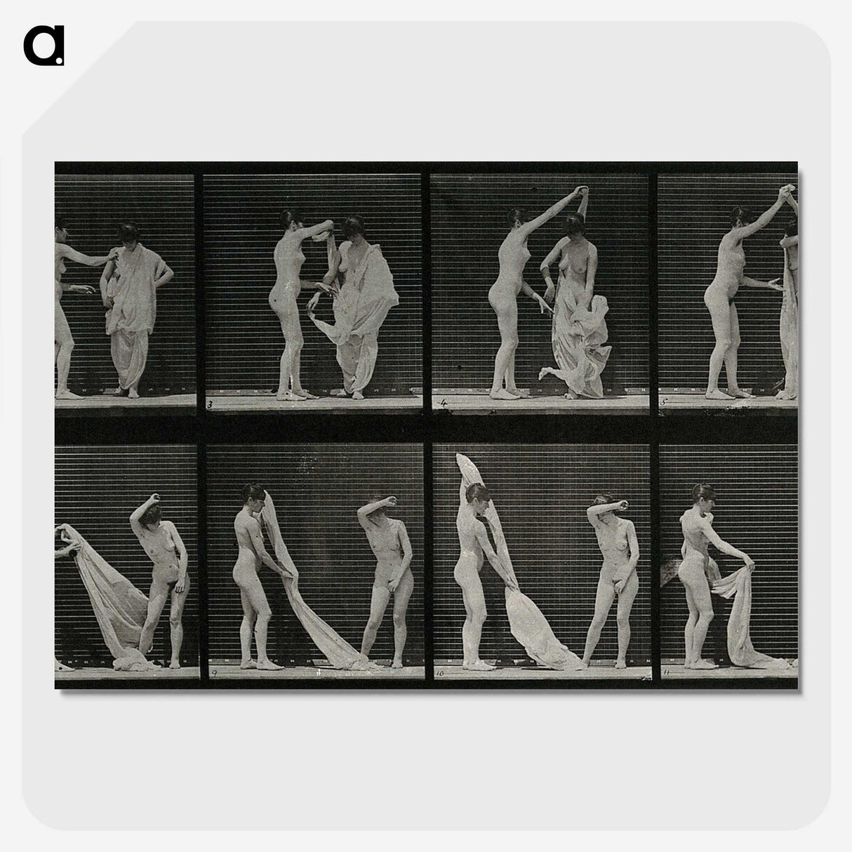 1-34_Eadweard-Muybridge_picture-crop