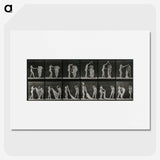 1-34_Eadweard-Muybridge_picture