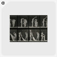 1-34_Eadweard-Muybridge_postcard