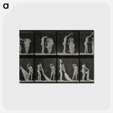 アートポストカード-Undressing
 - エドワード マイブリッジ Postcard.