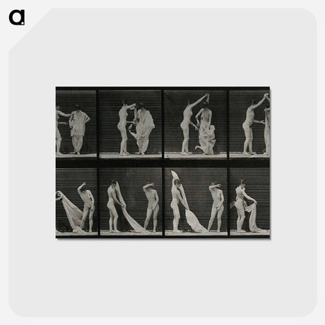 アートポストカード-Undressing
 - エドワード マイブリッジ Postcard.