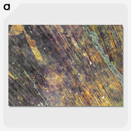 1-34_Earth-from-Above_picture-crop