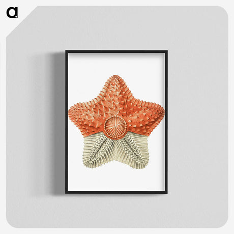 1-34_Ernst-Haeckel_blk-crop