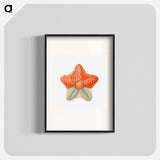 Vintage starfish marine life illustration - エルンスト ヘッケル Poster.