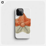 1-34_Ernst-Haeckel_phone