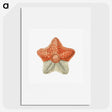 1-34_Ernst-Haeckel_picture