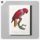 1-34_Francois-Levaillant_canvas