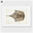 1-34_Frank-Edward-Clarke_picture