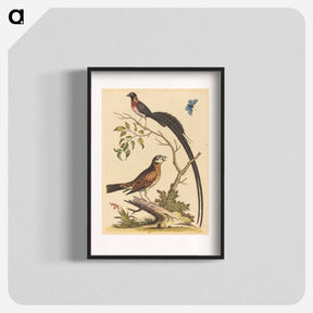 アートポスター-Two Birds and a Butterfly
 - ジョージ エドワーズ Poster.
