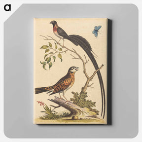 アートパネル-Two Birds and a Butterfly
 - ジョージ エドワーズ Canvas.
