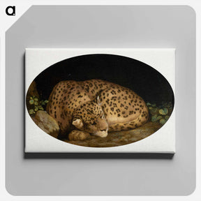アートパネル-Sleeping Leopard
 - ジョージ スタッブス Canvas.