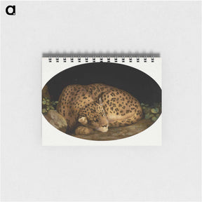 アートメモ帳-Sleeping Leopard
 - ジョージ スタッブス Memo.
