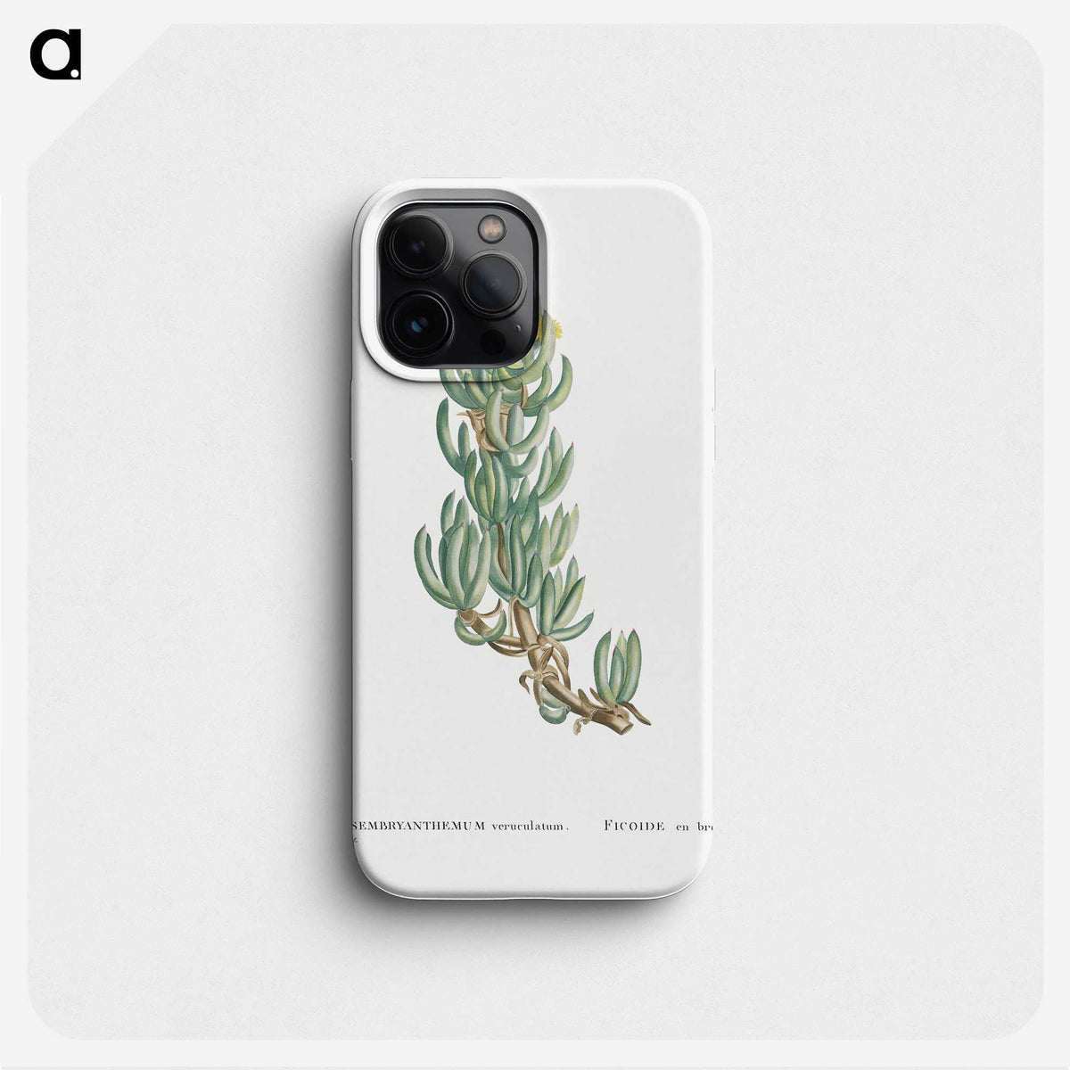 1-34_Histoire-des-Plantes-Grasses_phone