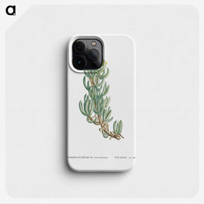1-34_Histoire-des-Plantes-Grasses_phone