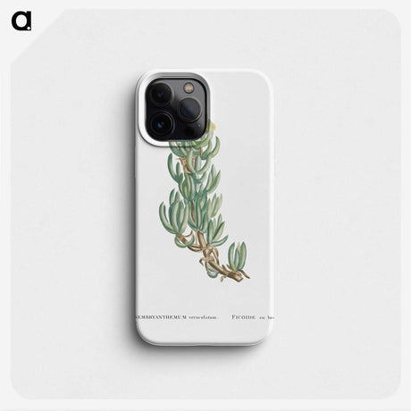 1-34_Histoire-des-Plantes-Grasses_phone