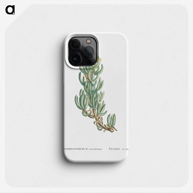 1-34_Histoire-des-Plantes-Grasses_phone