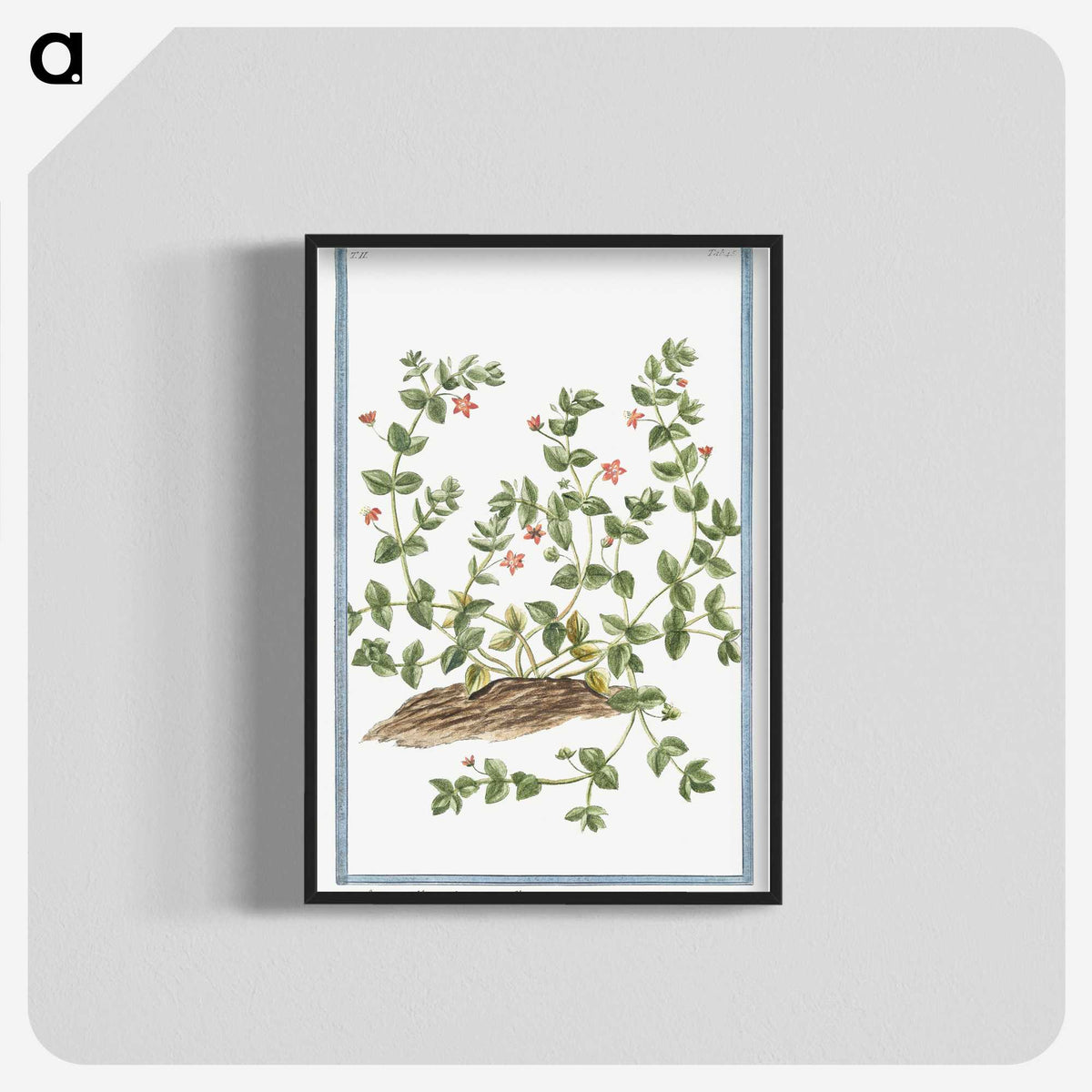 1-34_Hortus-Romanus-Botanical-Plates_blk-crop